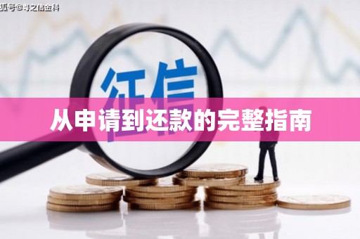 莱西从申请到还款的完整指南