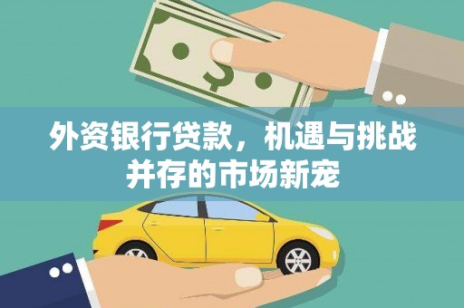 莱西外资银行贷款，机遇与挑战并存的市场新宠