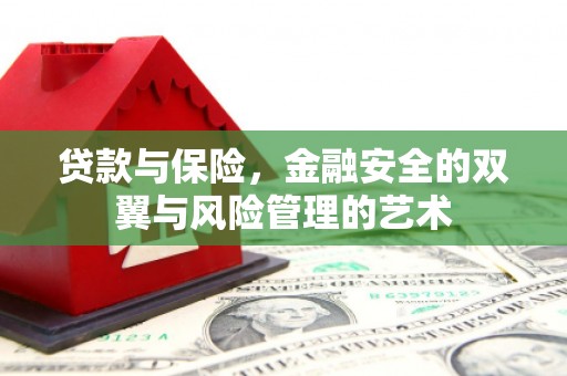 莱西贷款与保险，金融安全的双翼与风险管理的艺术