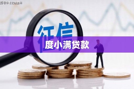 莱西度小满贷款