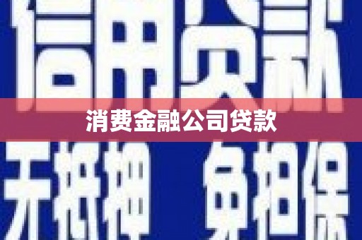 莱西消费金融公司贷款
