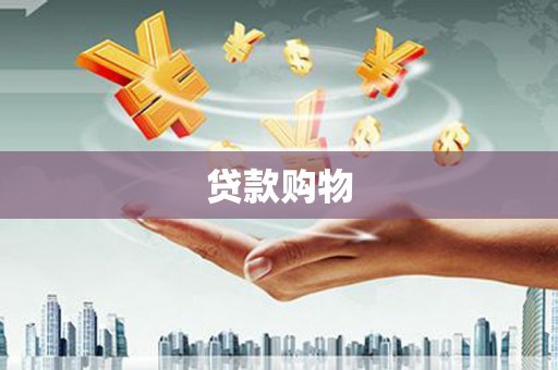 莱西贷款购物