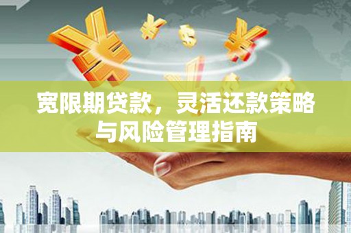 莱西宽限期贷款，灵活还款策略与风险管理指南