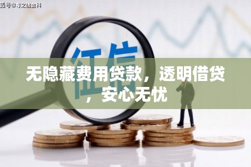 莱西无隐藏费用贷款，透明借贷，安心无忧