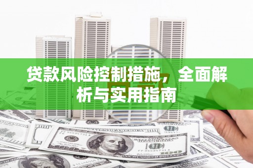 莱西贷款风险控制措施，全面解析与实用指南