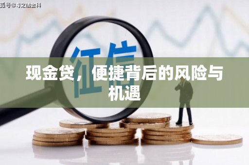 莱西现金贷，便捷背后的风险与机遇