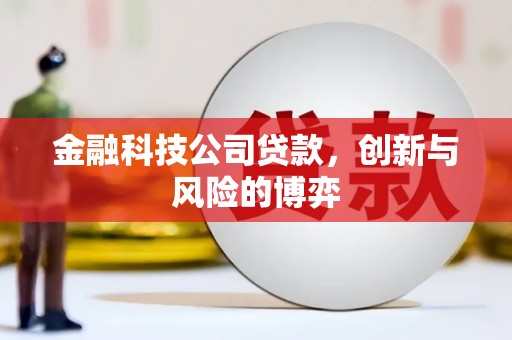 莱西金融科技公司贷款，创新与风险的博弈