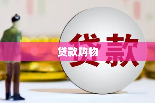 莱西贷款购物