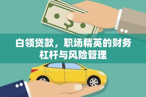莱西白领贷款，职场精英的财务杠杆与风险管理