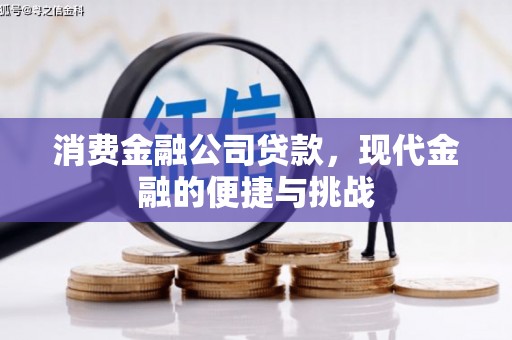 莱西消费金融公司贷款，现代金融的便捷与挑战