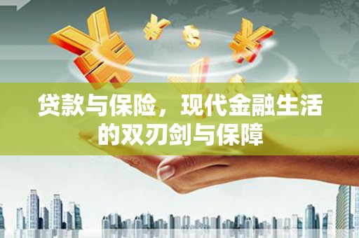 莱西贷款与保险，现代金融生活的双刃剑与保障