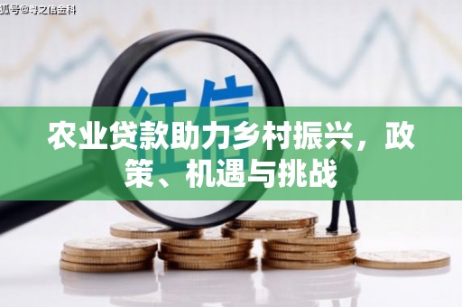 莱西农业贷款助力乡村振兴，政策、机遇与挑战
