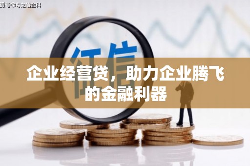 莱西企业经营贷，助力企业腾飞的金融利器