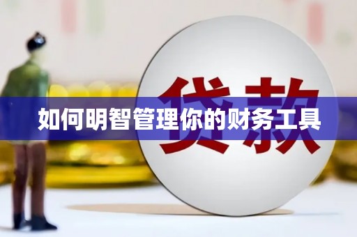莱西如何明智管理你的财务工具