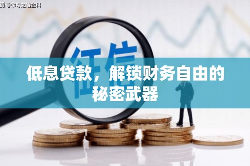 莱西低息贷款，解锁财务自由的秘密武器