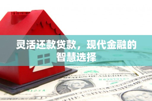 莱西灵活还款贷款，现代金融的智慧选择