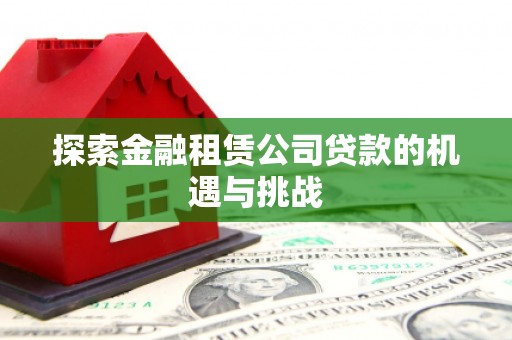 莱西探索金融租赁公司贷款的机遇与挑战