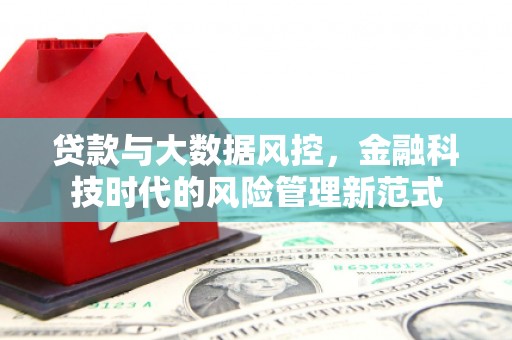 莱西贷款与大数据风控，金融科技时代的风险管理新范式