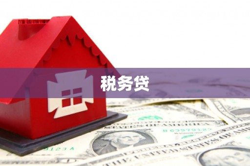莱西税务贷