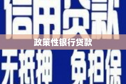 莱西政策性银行贷款