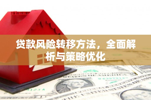 莱西贷款风险转移方法，全面解析与策略优化