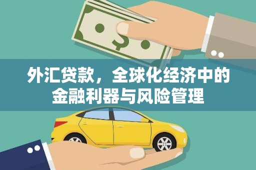 莱西外汇贷款，全球化经济中的金融利器与风险管理