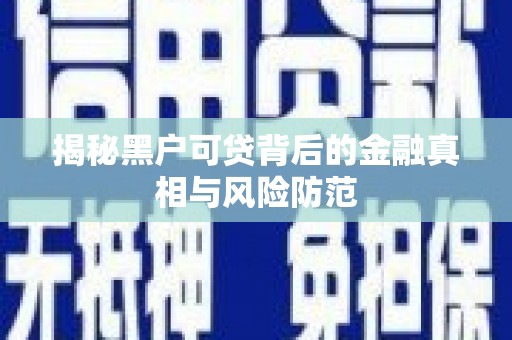 莱西揭秘黑户可贷背后的金融真相与风险防范