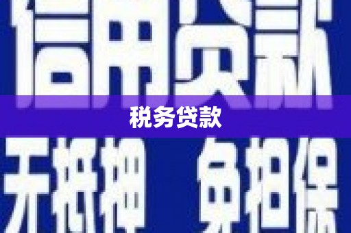 莱西税务贷款