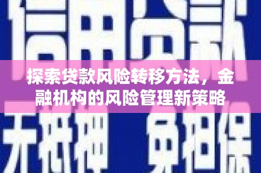 莱西探索贷款风险转移方法，金融机构的风险管理新策略