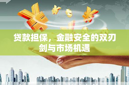莱西贷款担保，金融安全的双刃剑与市场机遇