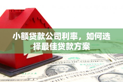 莱西小额贷款公司利率，如何选择最佳贷款方案