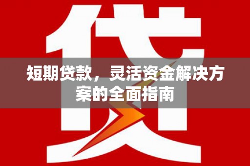 莱西短期贷款，灵活资金解决方案的全面指南