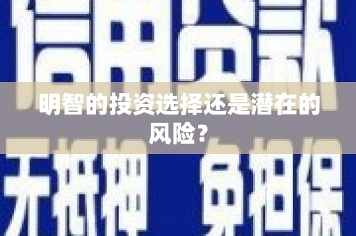 莱西明智的投资选择还是潜在的风险？