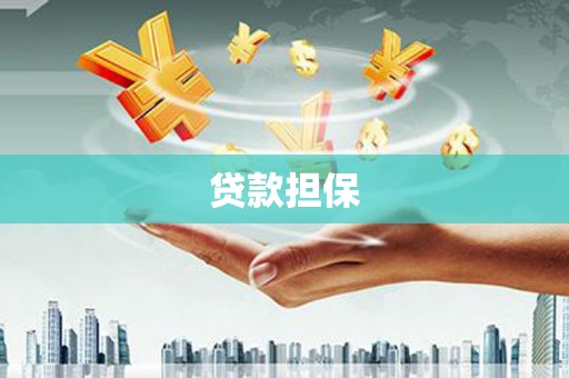 莱西贷款担保