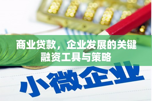 莱西商业贷款，企业发展的关键融资工具与策略
