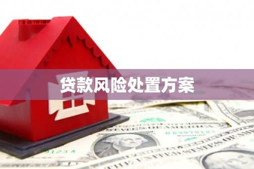 莱西贷款风险处置方案