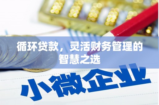 莱西循环贷款，灵活财务管理的智慧之选
