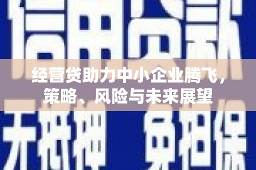 莱西经营贷助力中小企业腾飞，策略、风险与未来展望