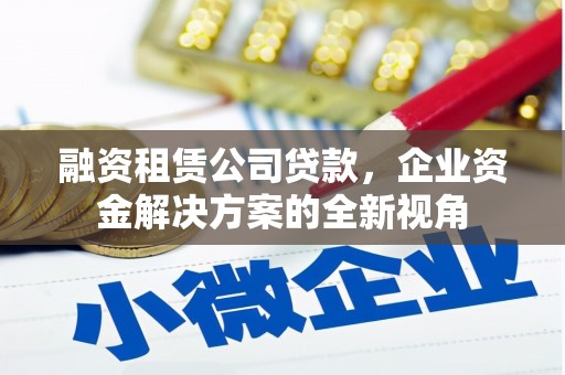 莱西融资租赁公司贷款，企业资金解决方案的全新视角