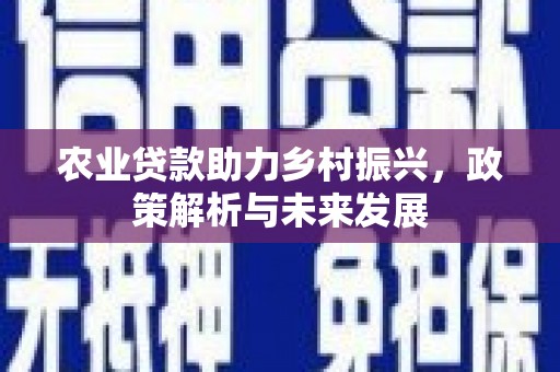 莱西农业贷款助力乡村振兴，政策解析与未来发展