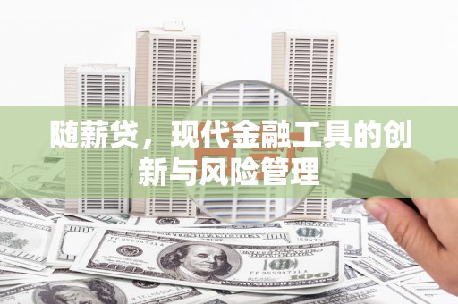莱西随薪贷，现代金融工具的创新与风险管理
