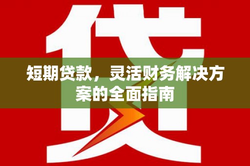 莱西短期贷款，灵活财务解决方案的全面指南