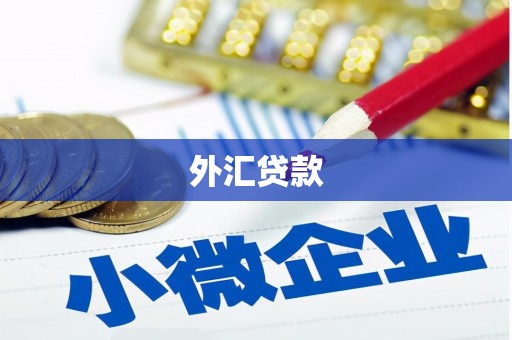 莱西外汇贷款