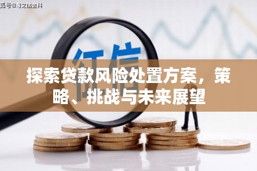 莱西探索贷款风险处置方案，策略、挑战与未来展望