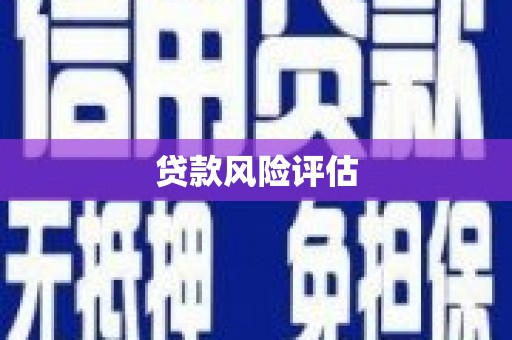 莱西贷款风险评估