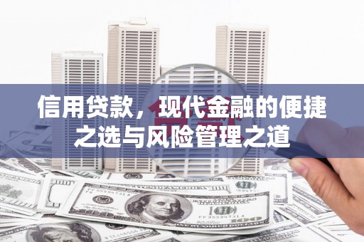 莱西信用贷款，现代金融的便捷之选与风险管理之道