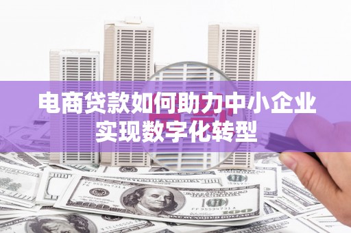 莱西电商贷款如何助力中小企业实现数字化转型