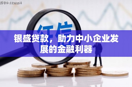莱西银盛贷款，助力中小企业发展的金融利器