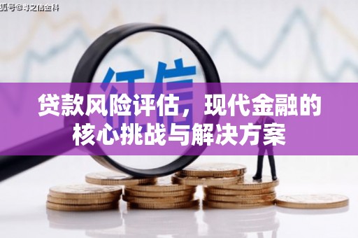 莱西贷款风险评估，现代金融的核心挑战与解决方案