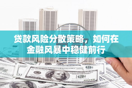 莱西贷款风险分散策略，如何在金融风暴中稳健前行